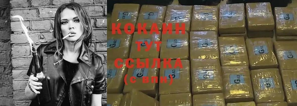 spice Алексин