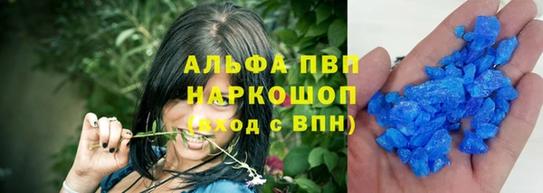 хмурый Гусев