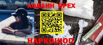 шишки Шелехов