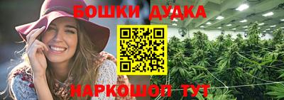 шишки Шелехов